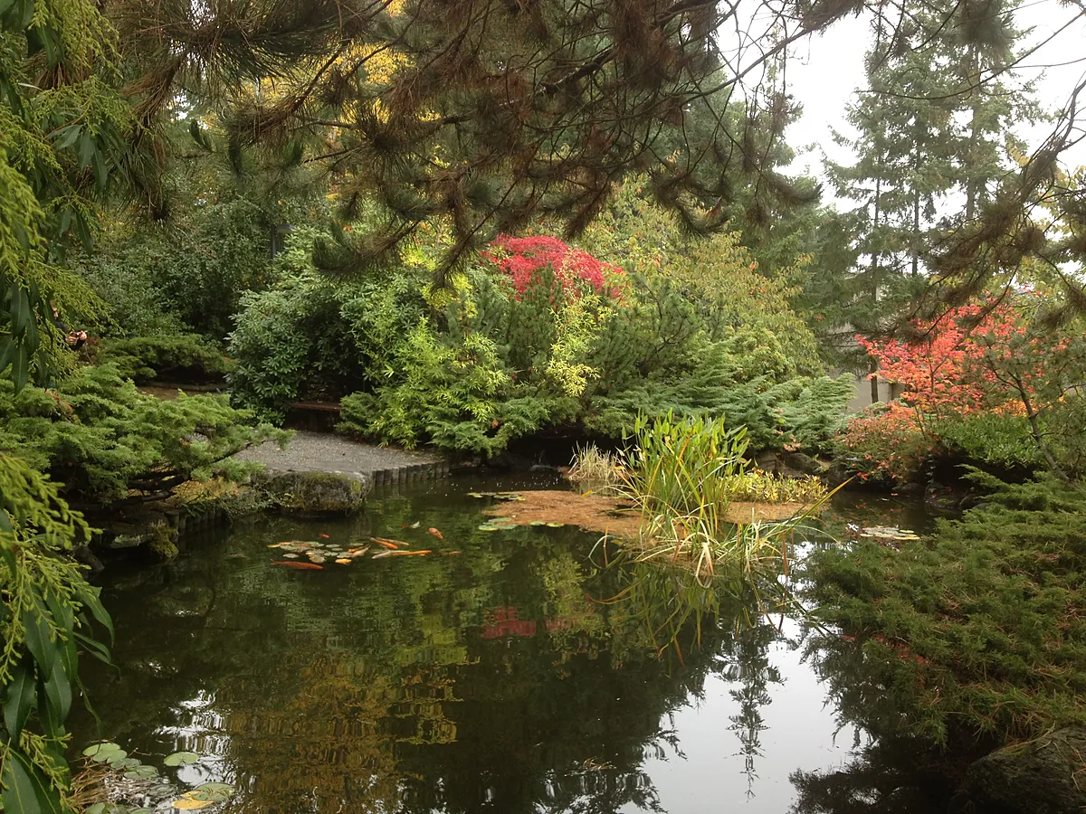 University life in British Columbia