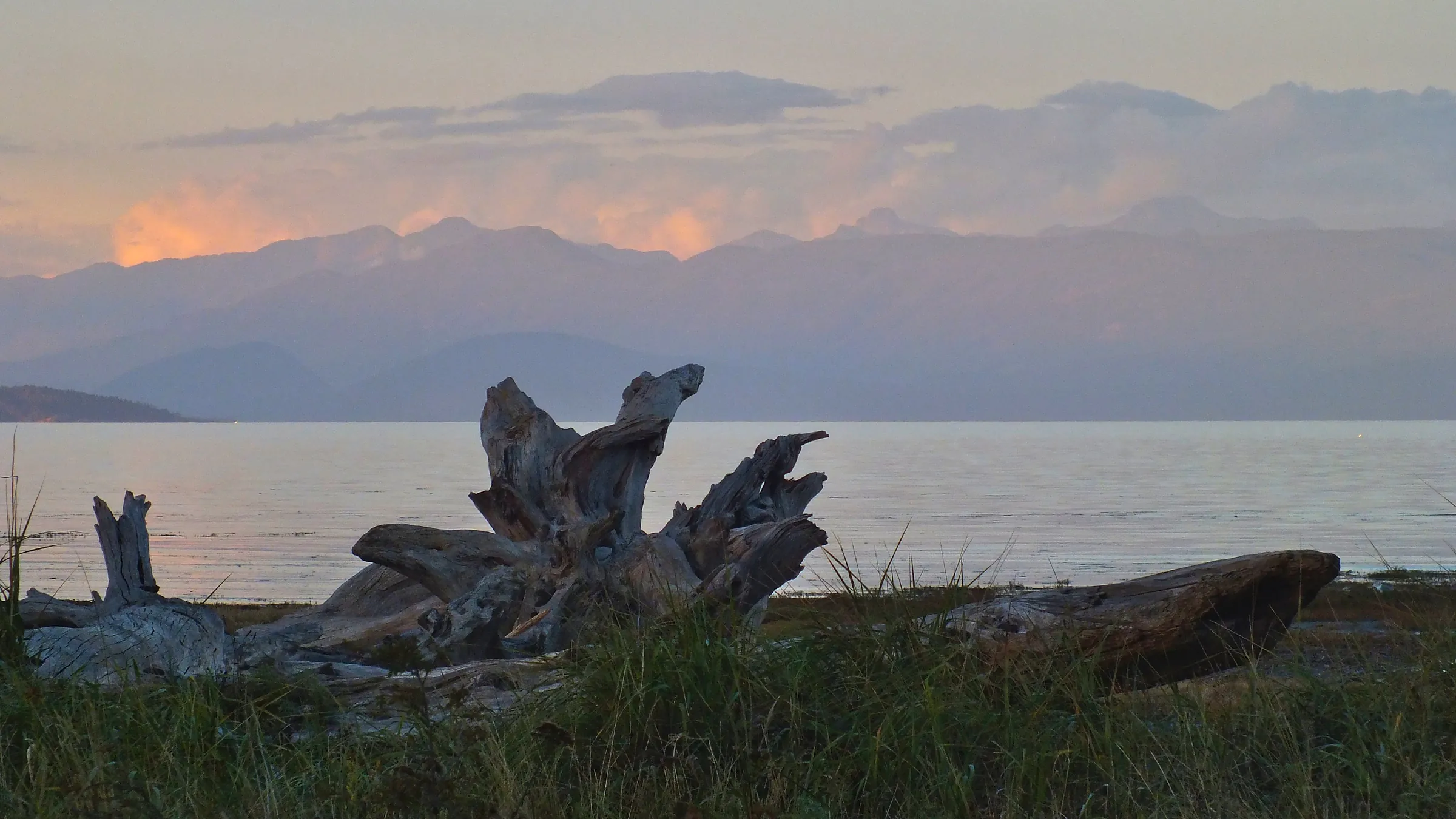 Students and host families gathered together at a welcome reception in Qualicum Beach