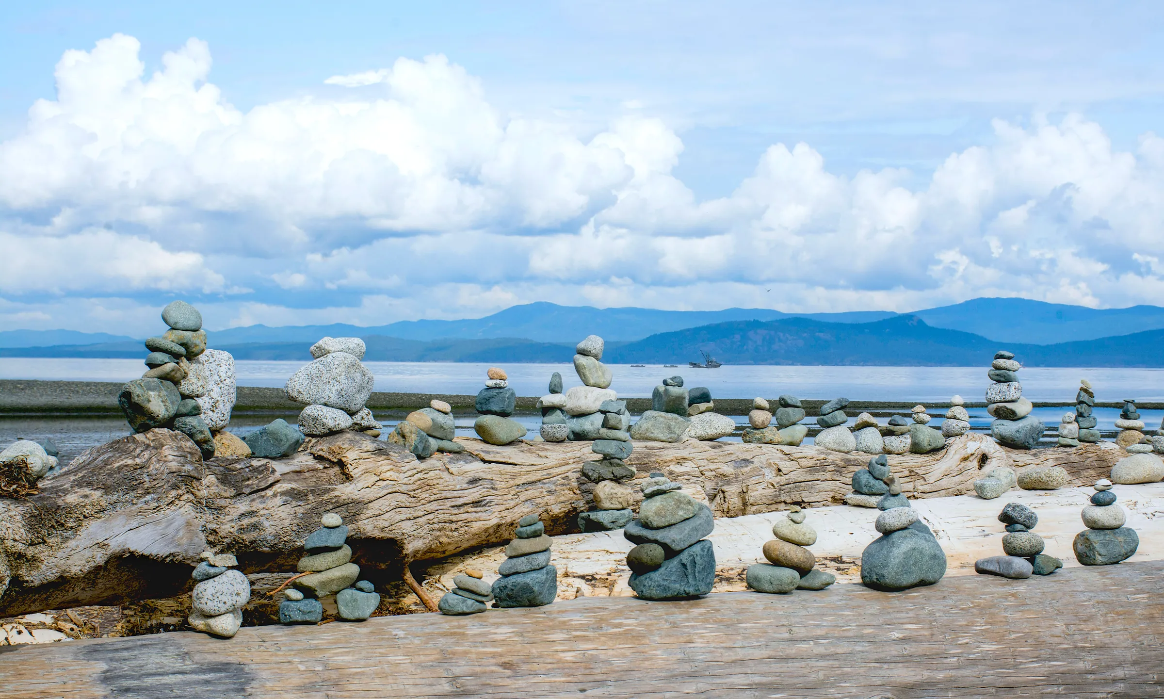 Students and host families gathered together at a welcome reception in Campbell River