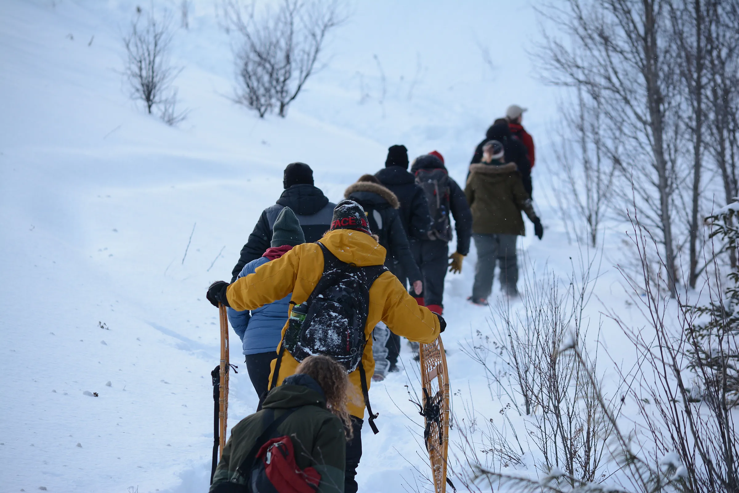 Group tour students in British Columbia