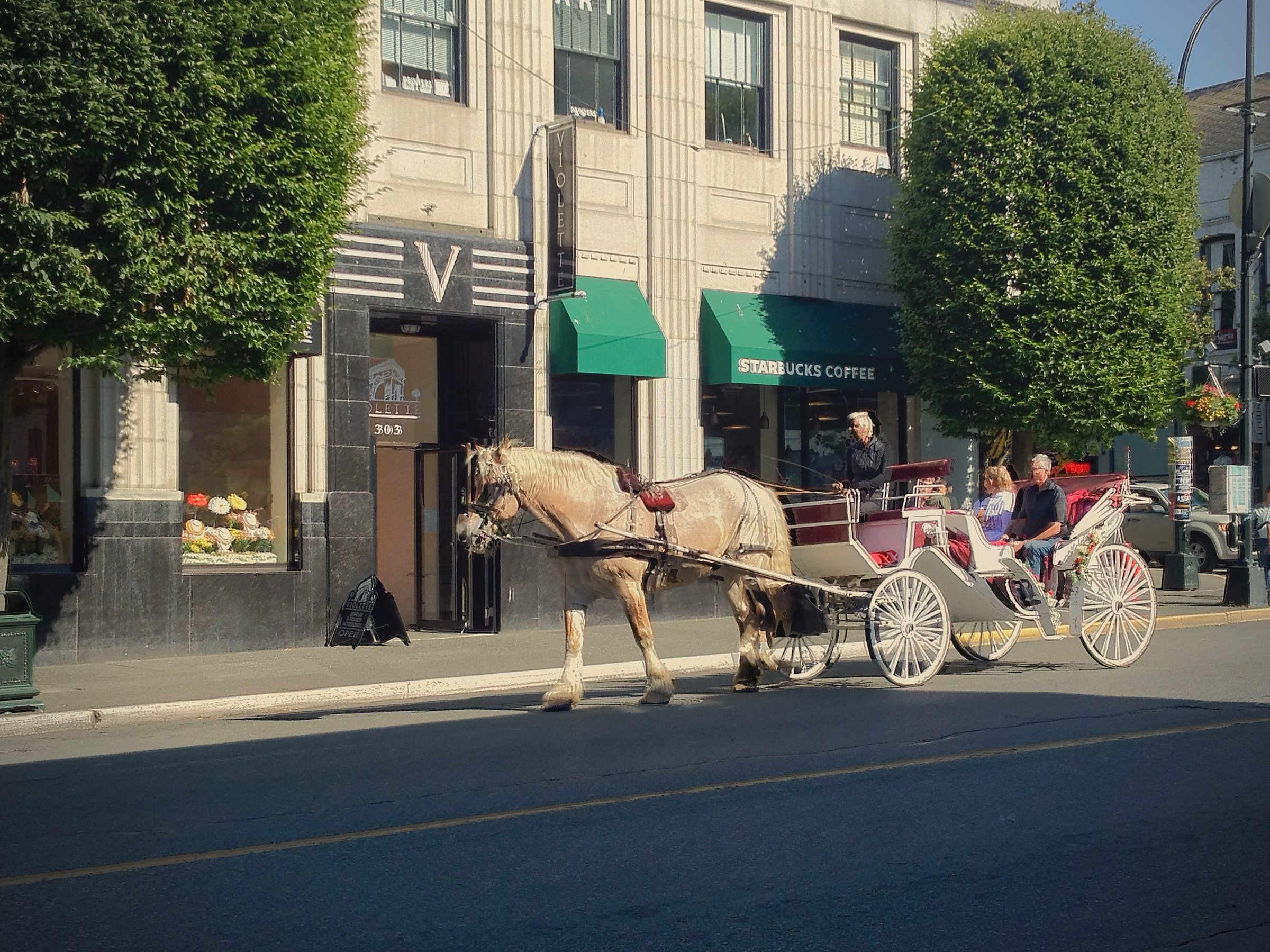 Seniors Adventures in British Columbia